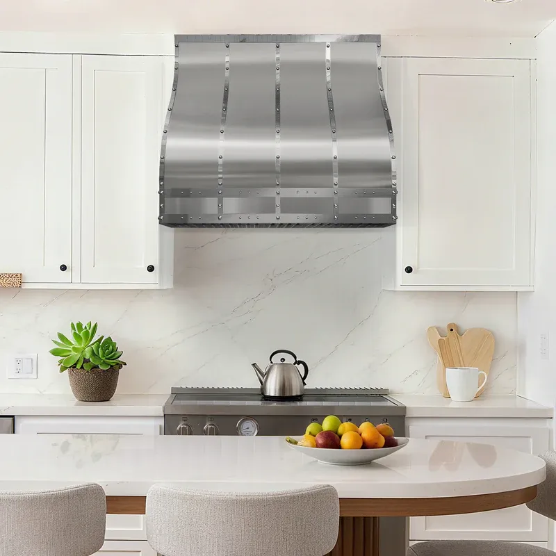 Modern stainless steel hood